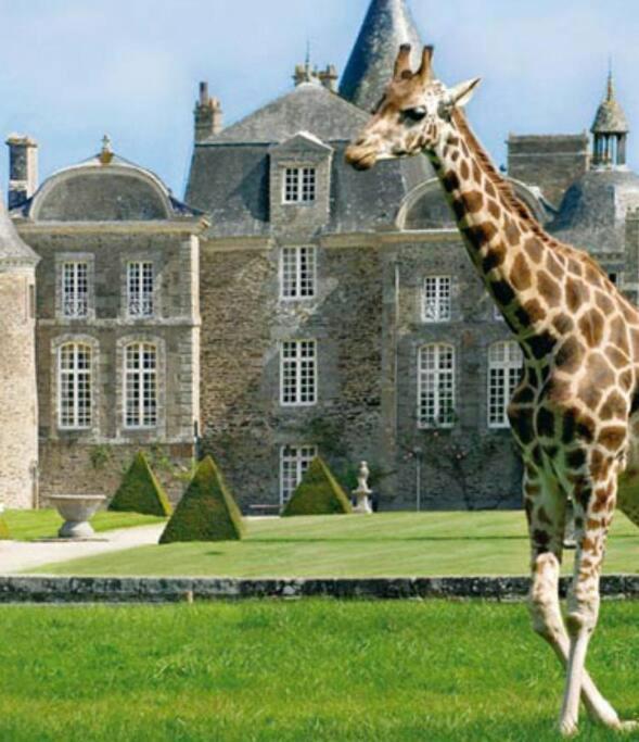 La Baie Du Mont Appartement De Vacances Proche Du Mont Saint Michel โรส-โซร์-คูเอสน็อง ภายนอก รูปภาพ