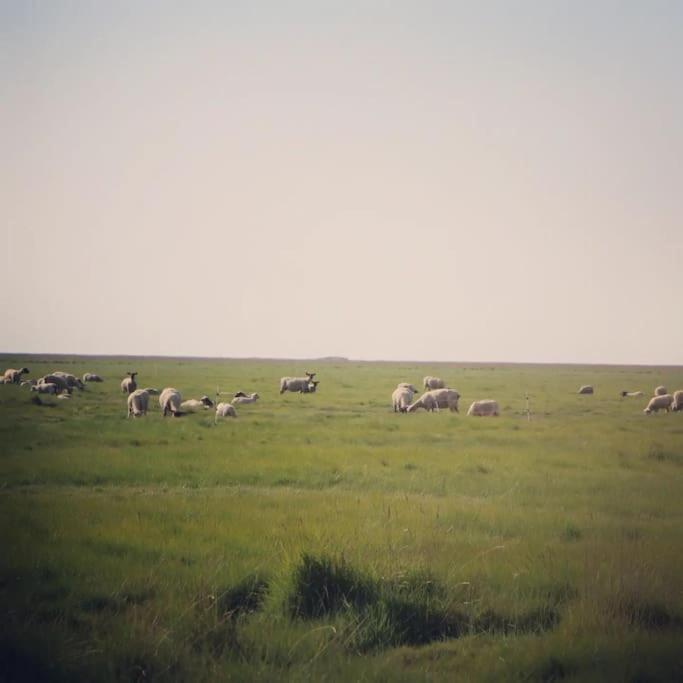 La Baie Du Mont Appartement De Vacances Proche Du Mont Saint Michel โรส-โซร์-คูเอสน็อง ภายนอก รูปภาพ